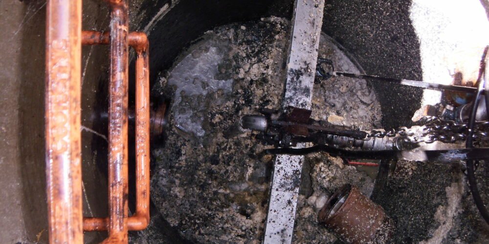 OLYMPUS DIGITAL CAMERA OLYMPUS DIGITAL CAMERA