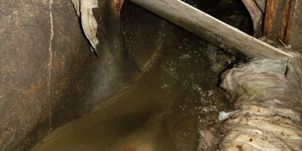 OLYMPUS DIGITAL CAMERA OLYMPUS DIGITAL CAMERA