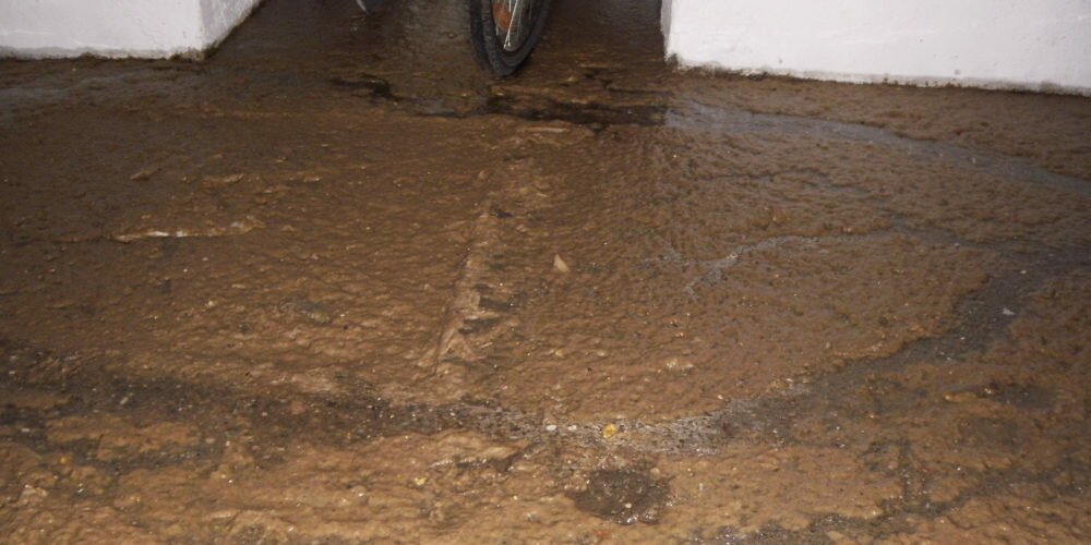 OLYMPUS DIGITAL CAMERA OLYMPUS DIGITAL CAMERA